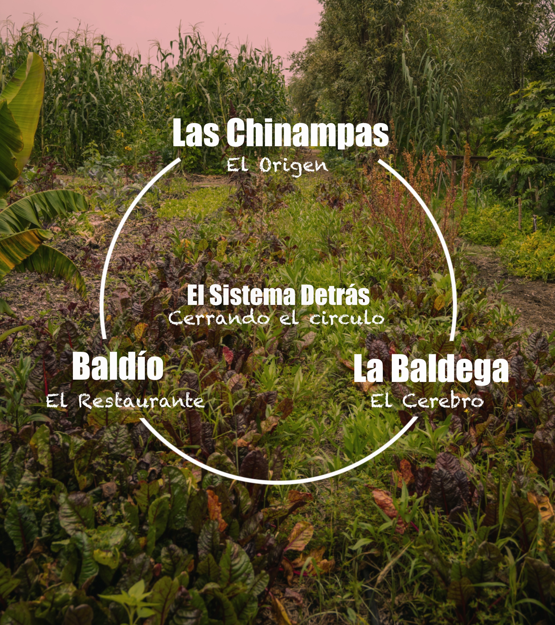 Experiencia Baldío - Más que una comida, una experiencia sensorial completa